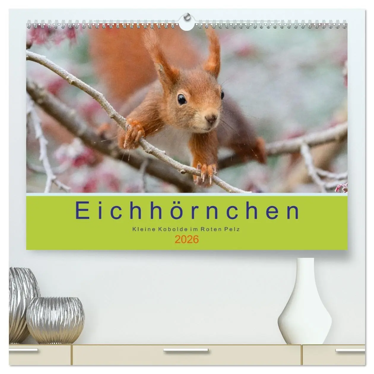Cover: 9783516037661 | Eichhörnchen - Kleine Kobolde im Roten Pelz (hochwertiger Premium...