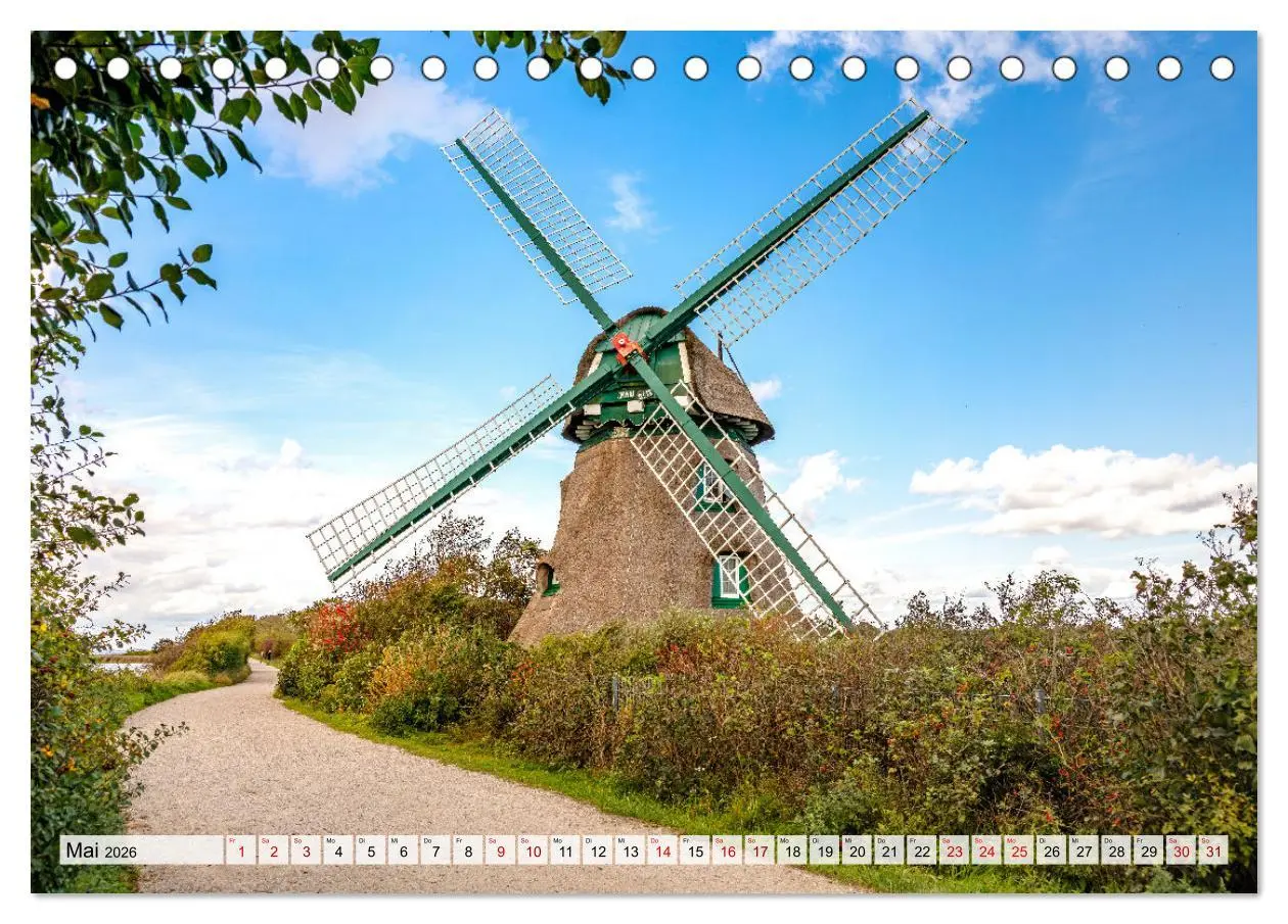 Bild: 9783457477861 | Faszination Schlei (Tischkalender 2026 DIN A5 quer), CALVENDO...