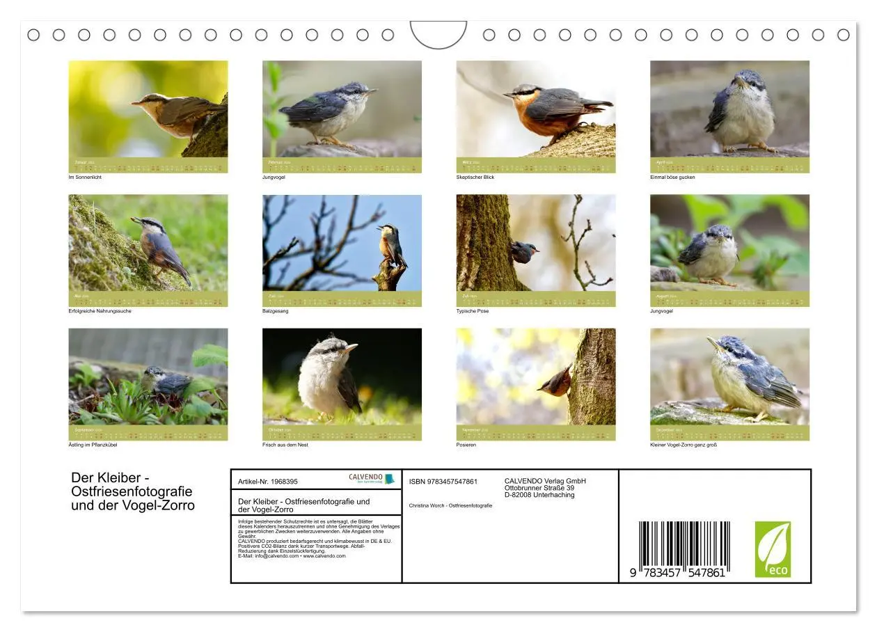 Bild: 9783457547861 | Der Kleiber - Ostfriesenfotografie und der Vogel-Zorro...