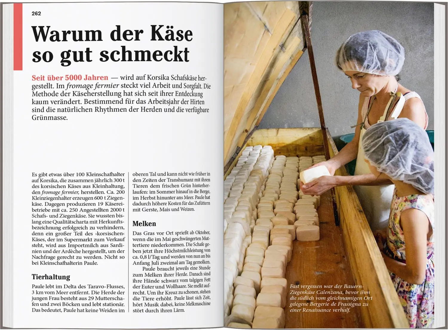 Bild: 9783616007861 | DUMONT Reise-Taschenbuch Reiseführer Korsika | Hans-Jürgen Siemsen