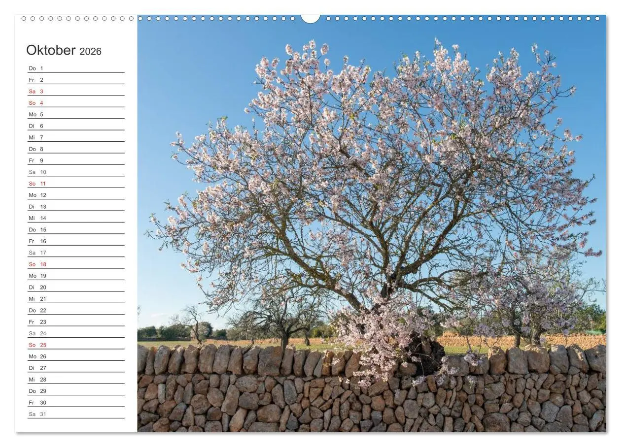 Bild: 9783516007961 | Emotionale Momente: Mandeln (Wandkalender 2026 DIN A2 quer),...