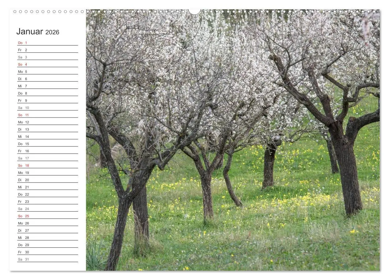 Bild: 9783516007961 | Emotionale Momente: Mandeln (Wandkalender 2026 DIN A2 quer),...