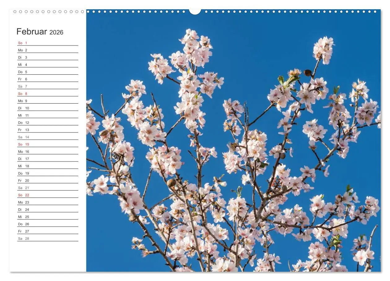 Bild: 9783516007961 | Emotionale Momente: Mandeln (Wandkalender 2026 DIN A2 quer),...