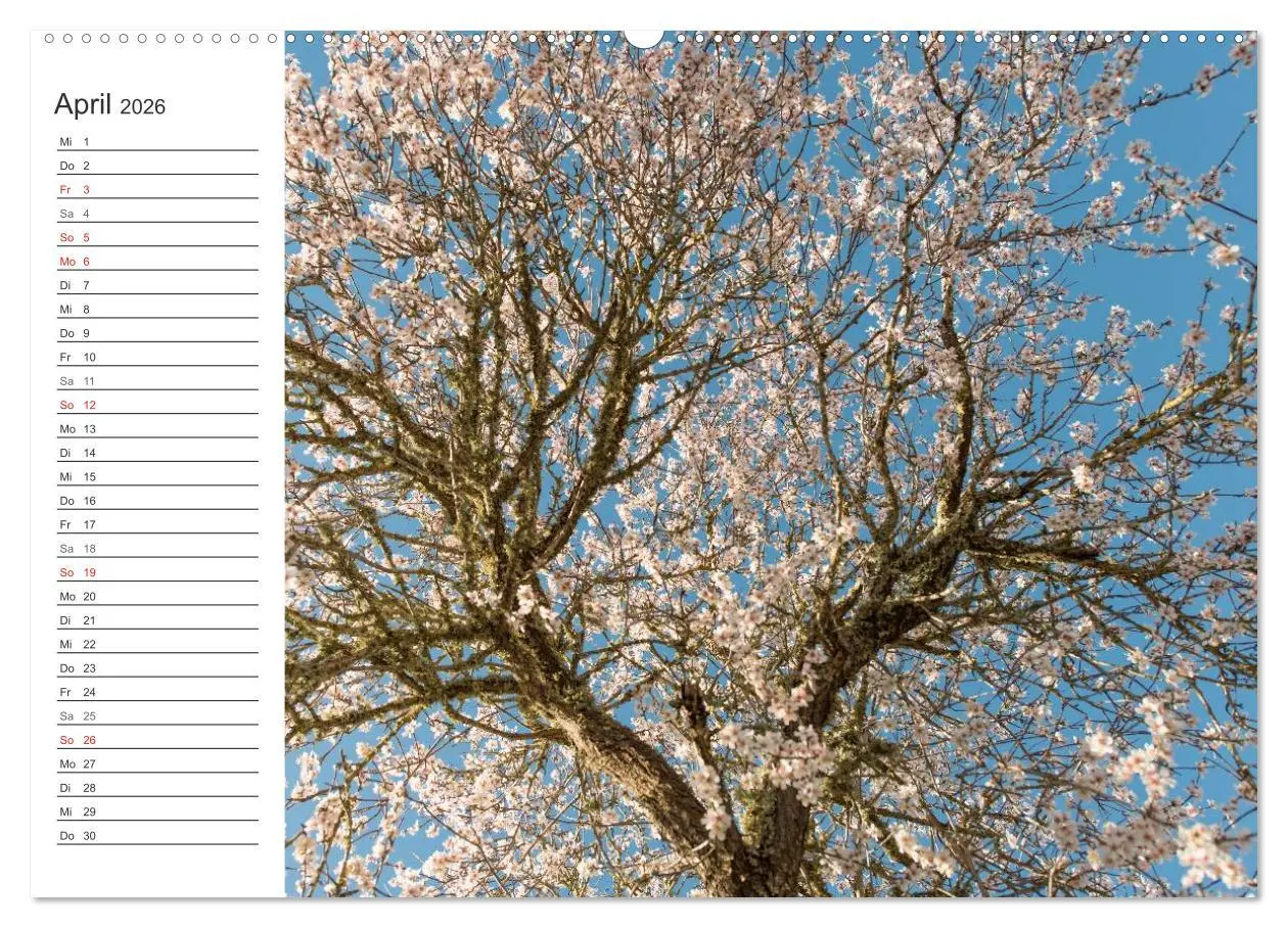 Bild: 9783516007961 | Emotionale Momente: Mandeln (Wandkalender 2026 DIN A2 quer),...