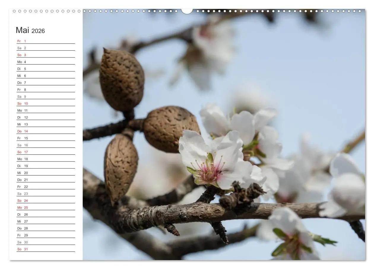 Bild: 9783516007961 | Emotionale Momente: Mandeln (Wandkalender 2026 DIN A2 quer),...