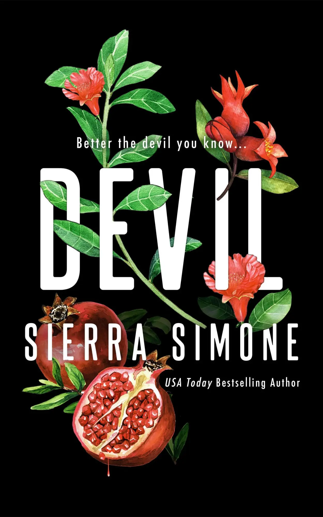 Cover: 9781464248061 | Devil | Sierra Simone | Taschenbuch | Priest | Paperback | Englisch