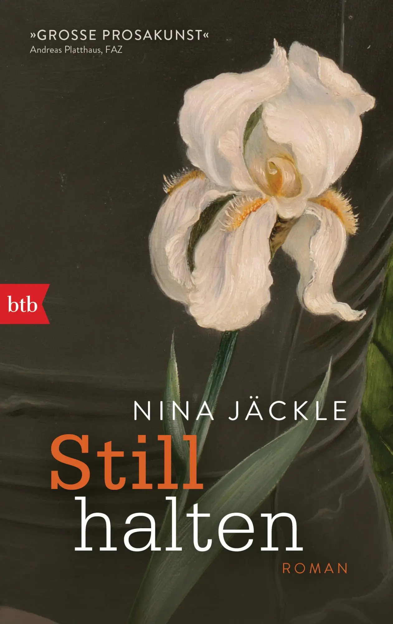 Cover: 9783442718061 | Stillhalten | Roman | Nina Jäckle | Taschenbuch | 192 S. | Deutsch