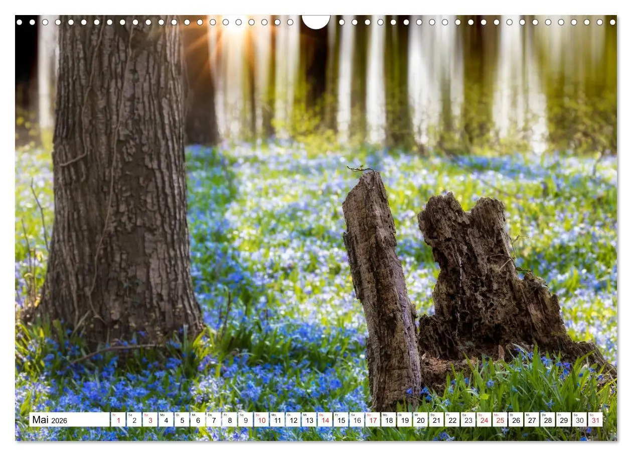 Bild: 9783457738061 | Die Uckermark - Eine Reise durch die Toskana des Nordens...