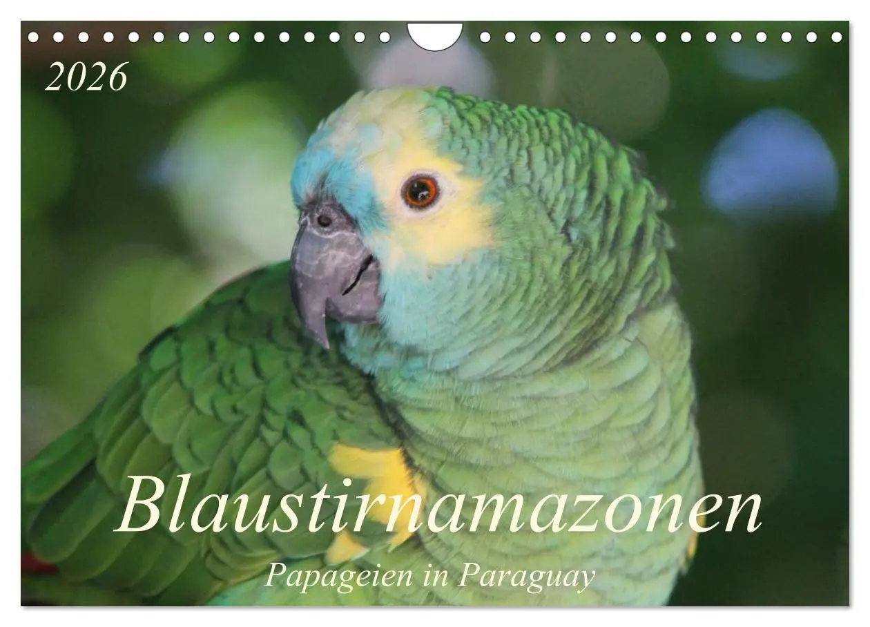 Cover: 9783516138061 | Blaustirnamazonen - Papageien in Paraguay (Wandkalender 2026 DIN A4...