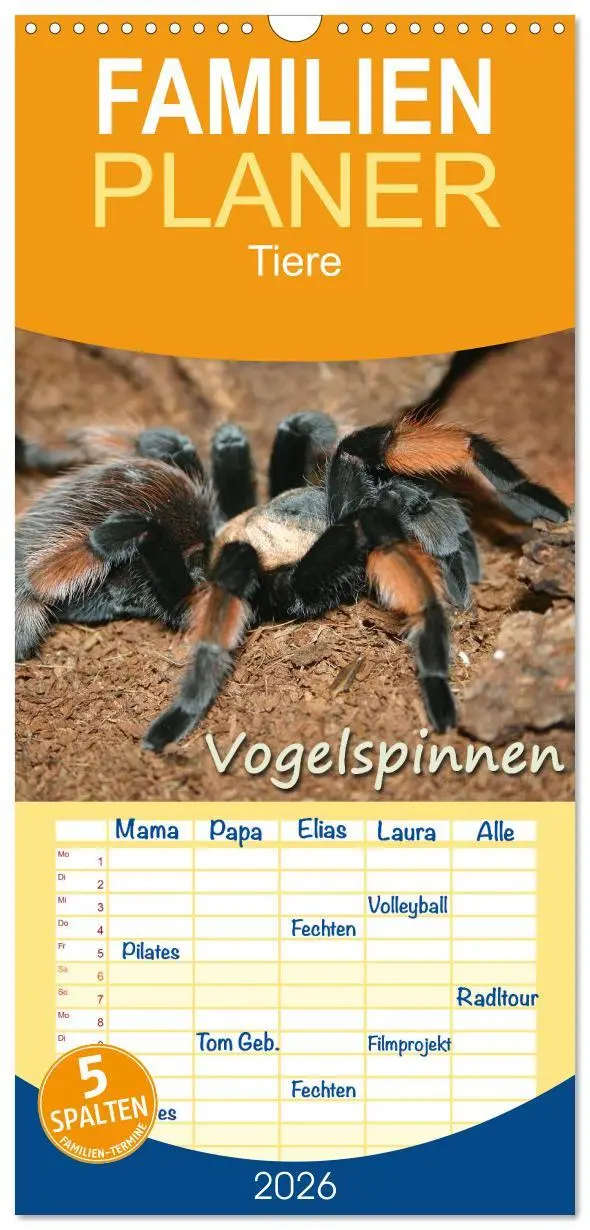 Cover: 9783516518061 | Familienplaner 2026 - Vogelspinnen mit 5 Spalten (Wandkalender, 21...