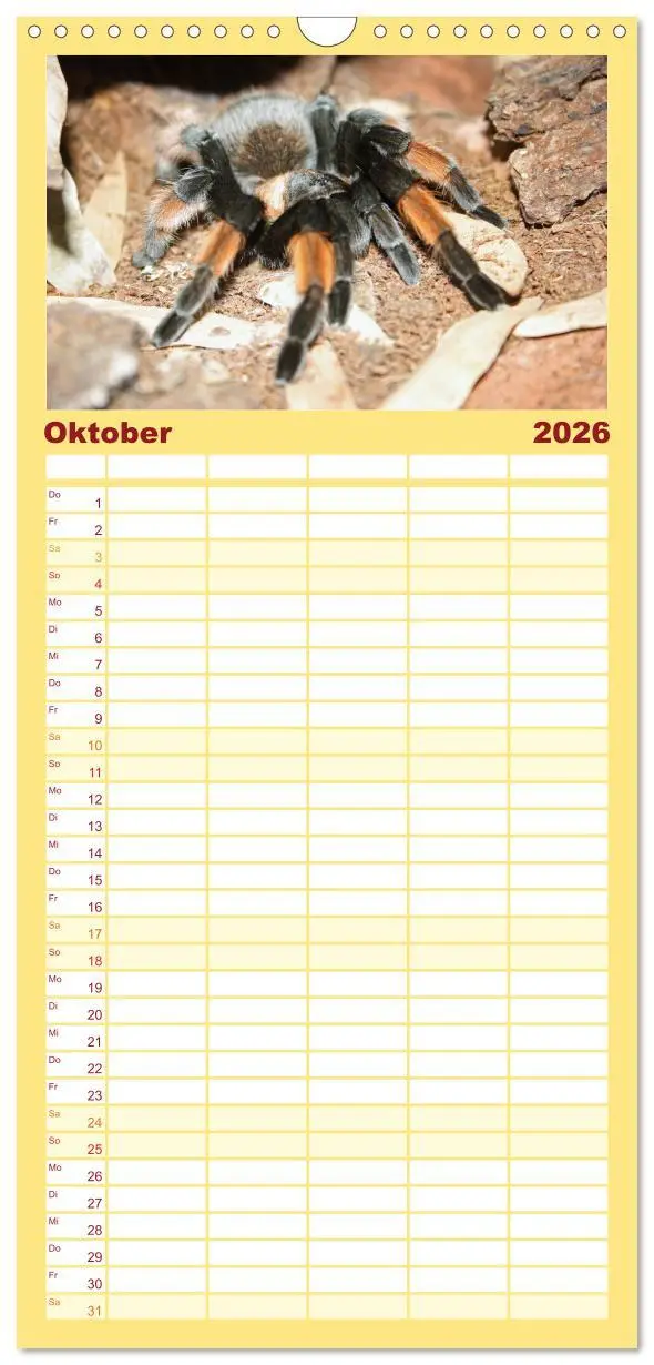 Bild: 9783516518061 | Familienplaner 2026 - Vogelspinnen mit 5 Spalten (Wandkalender, 21...