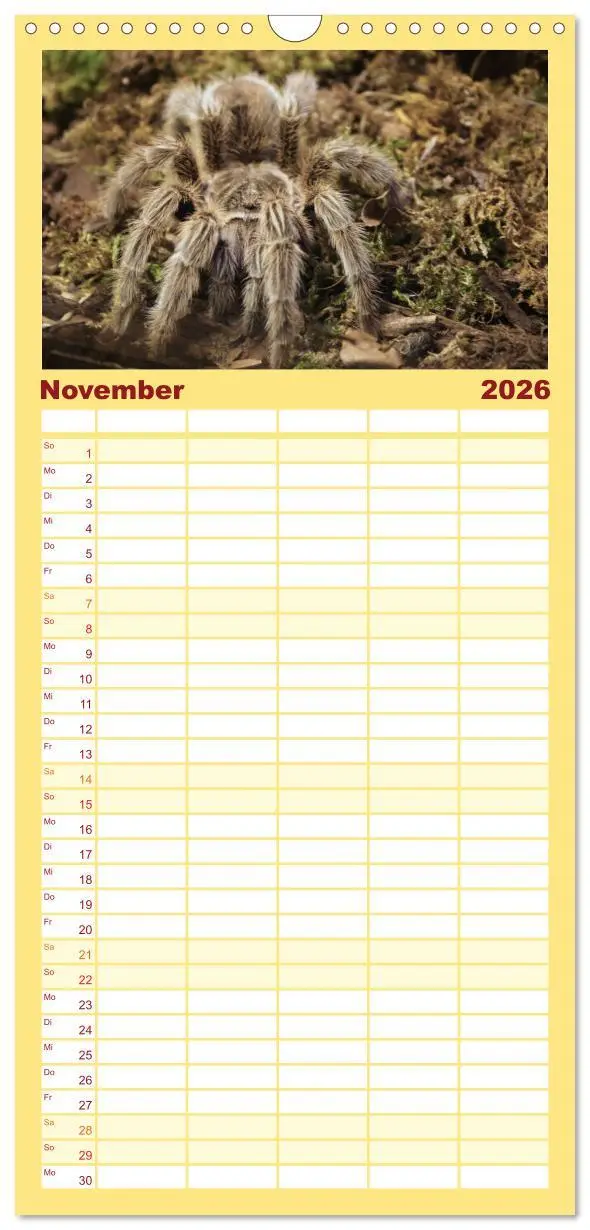 Bild: 9783516518061 | Familienplaner 2026 - Vogelspinnen mit 5 Spalten (Wandkalender, 21...