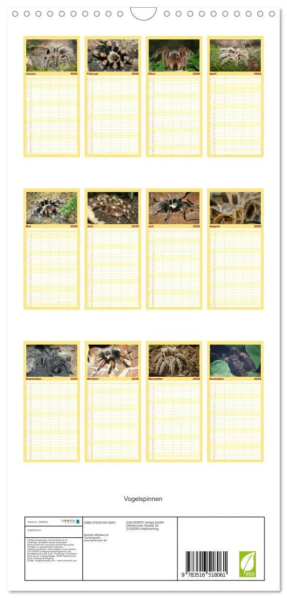 Bild: 9783516518061 | Familienplaner 2026 - Vogelspinnen mit 5 Spalten (Wandkalender, 21...