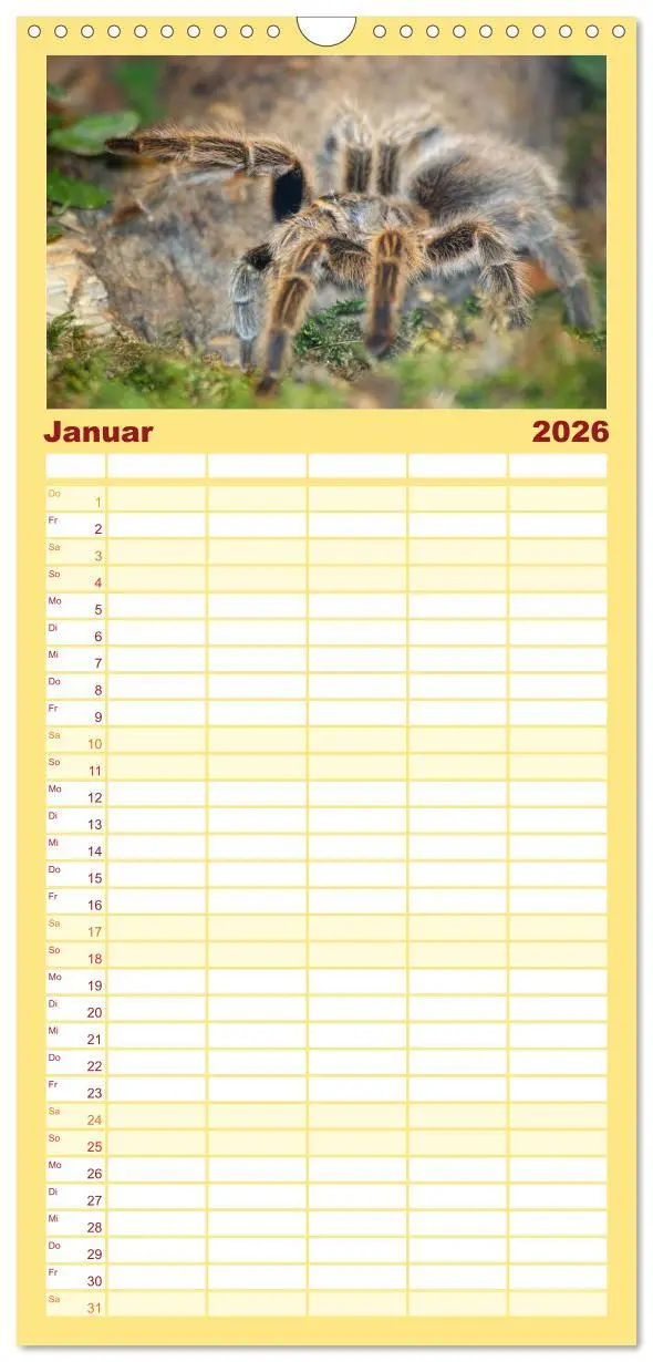 Bild: 9783516518061 | Familienplaner 2026 - Vogelspinnen mit 5 Spalten (Wandkalender, 21...