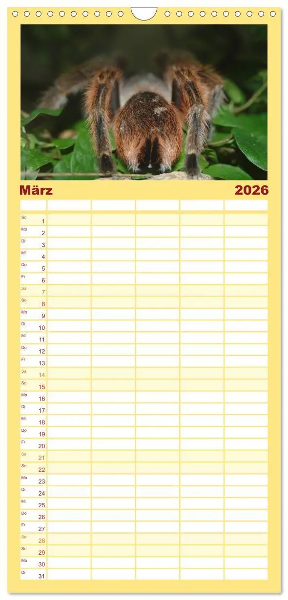 Bild: 9783516518061 | Familienplaner 2026 - Vogelspinnen mit 5 Spalten (Wandkalender, 21...