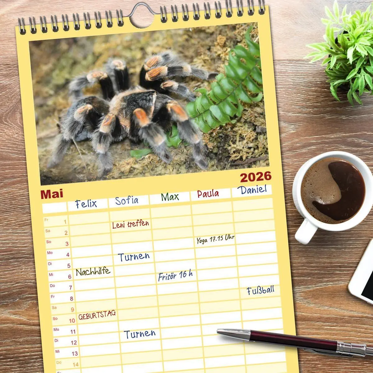 Bild: 9783516518061 | Familienplaner 2026 - Vogelspinnen mit 5 Spalten (Wandkalender, 21...