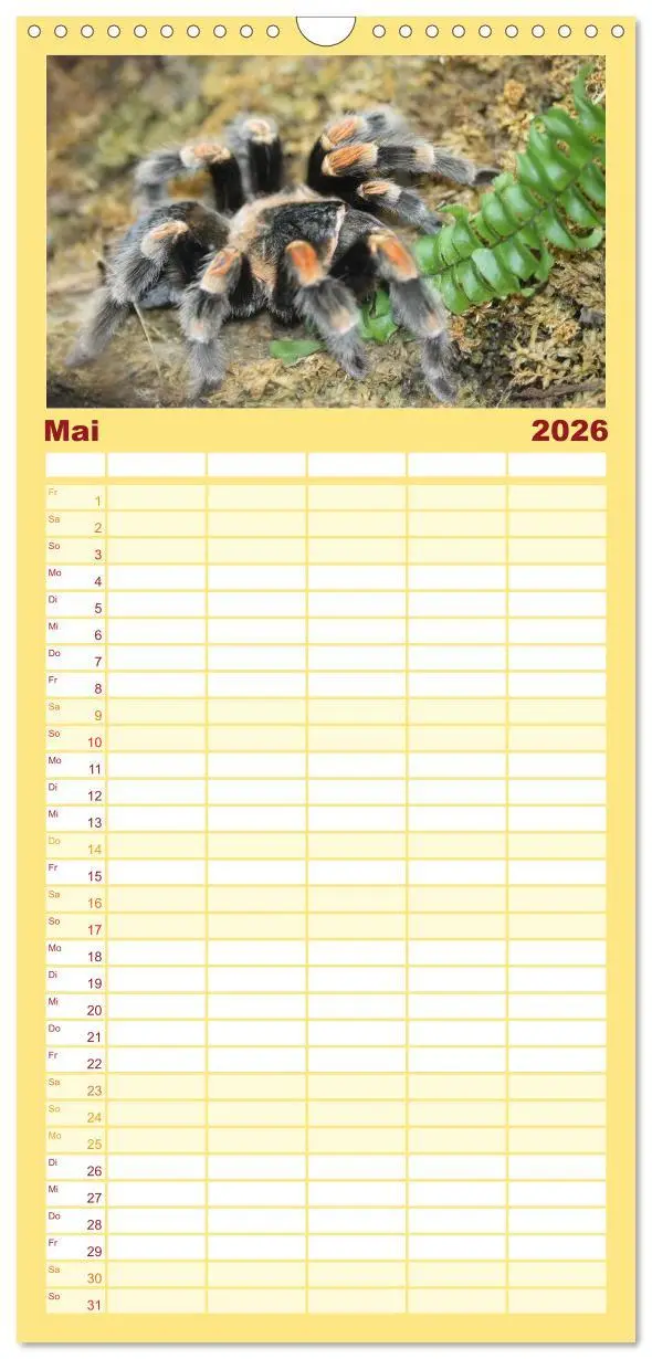 Bild: 9783516518061 | Familienplaner 2026 - Vogelspinnen mit 5 Spalten (Wandkalender, 21...