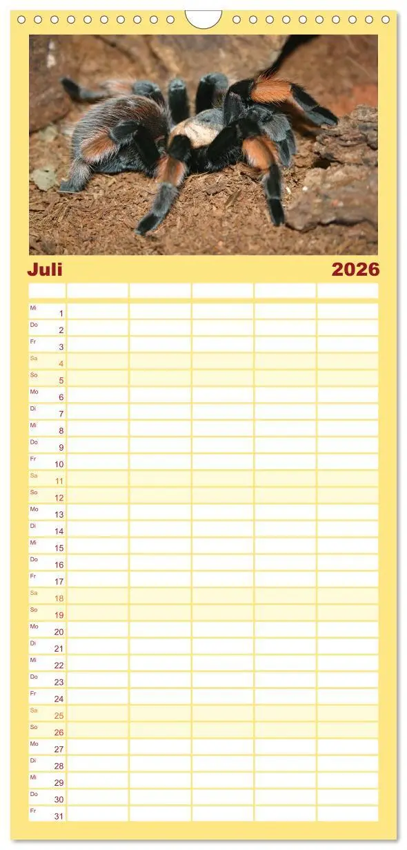 Bild: 9783516518061 | Familienplaner 2026 - Vogelspinnen mit 5 Spalten (Wandkalender, 21...