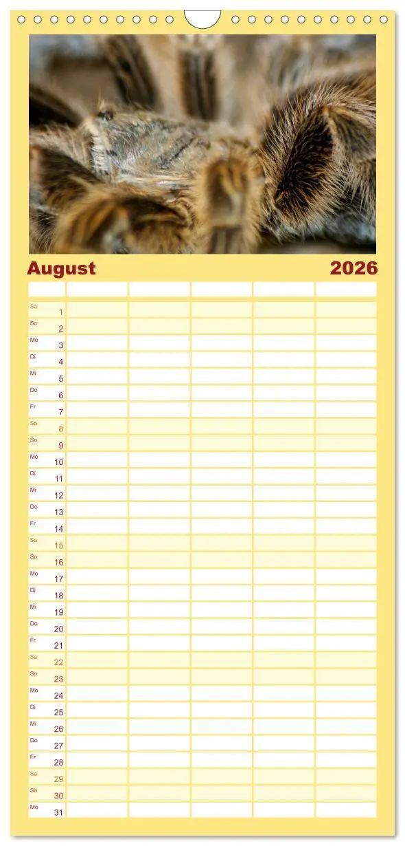 Bild: 9783516518061 | Familienplaner 2026 - Vogelspinnen mit 5 Spalten (Wandkalender, 21...