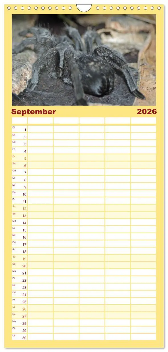 Bild: 9783516518061 | Familienplaner 2026 - Vogelspinnen mit 5 Spalten (Wandkalender, 21...