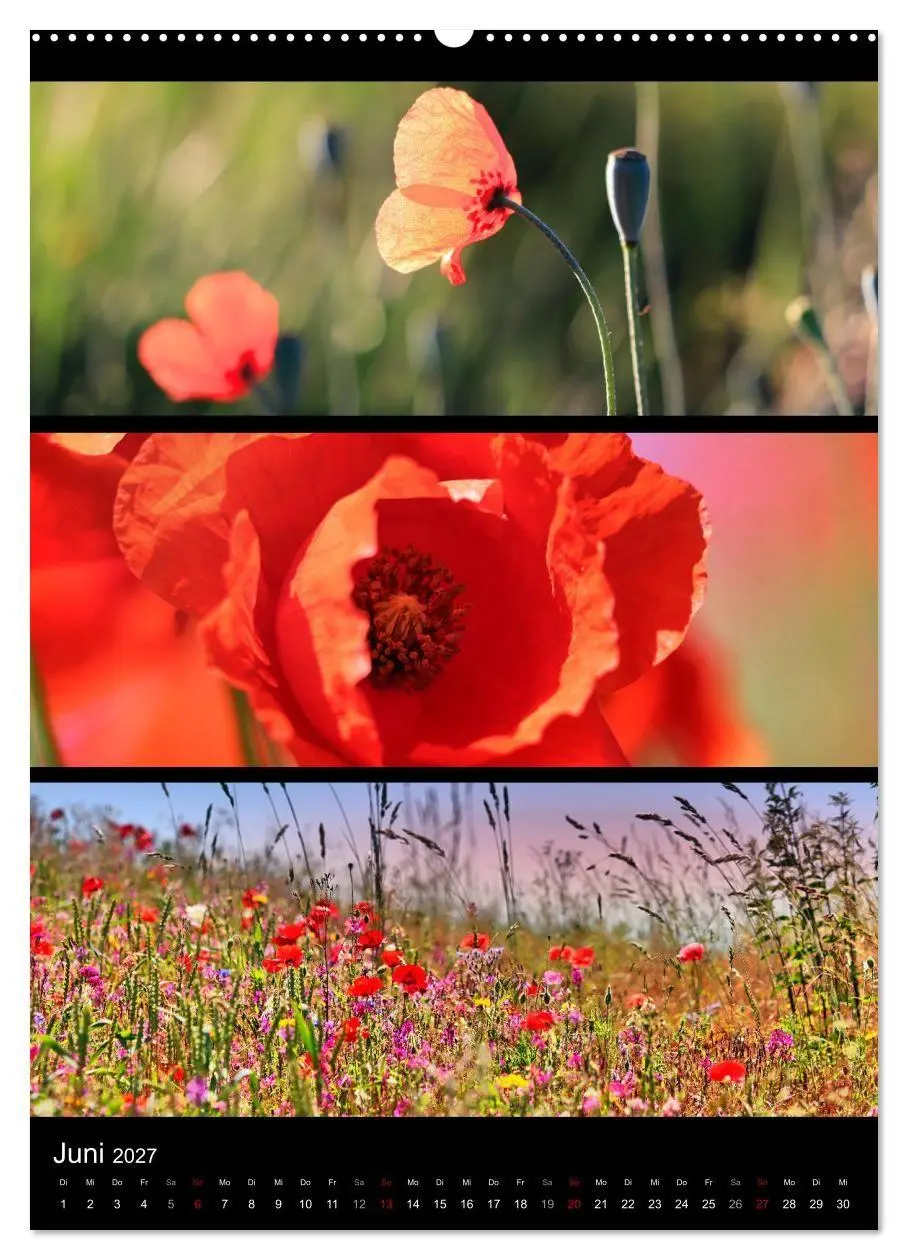Bild: 9783569468061 | Bezaubernde Farben der Natur (Wandkalender 2027 DIN A2 hoch),...