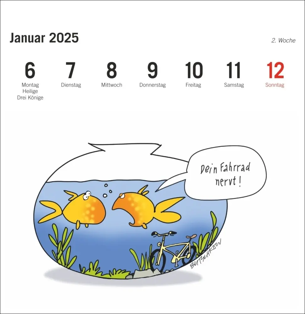Bild: 9783756408061 | Peter Butschkow: Fahrrad unser Premium-Postkartenkalender 2025 | 2025