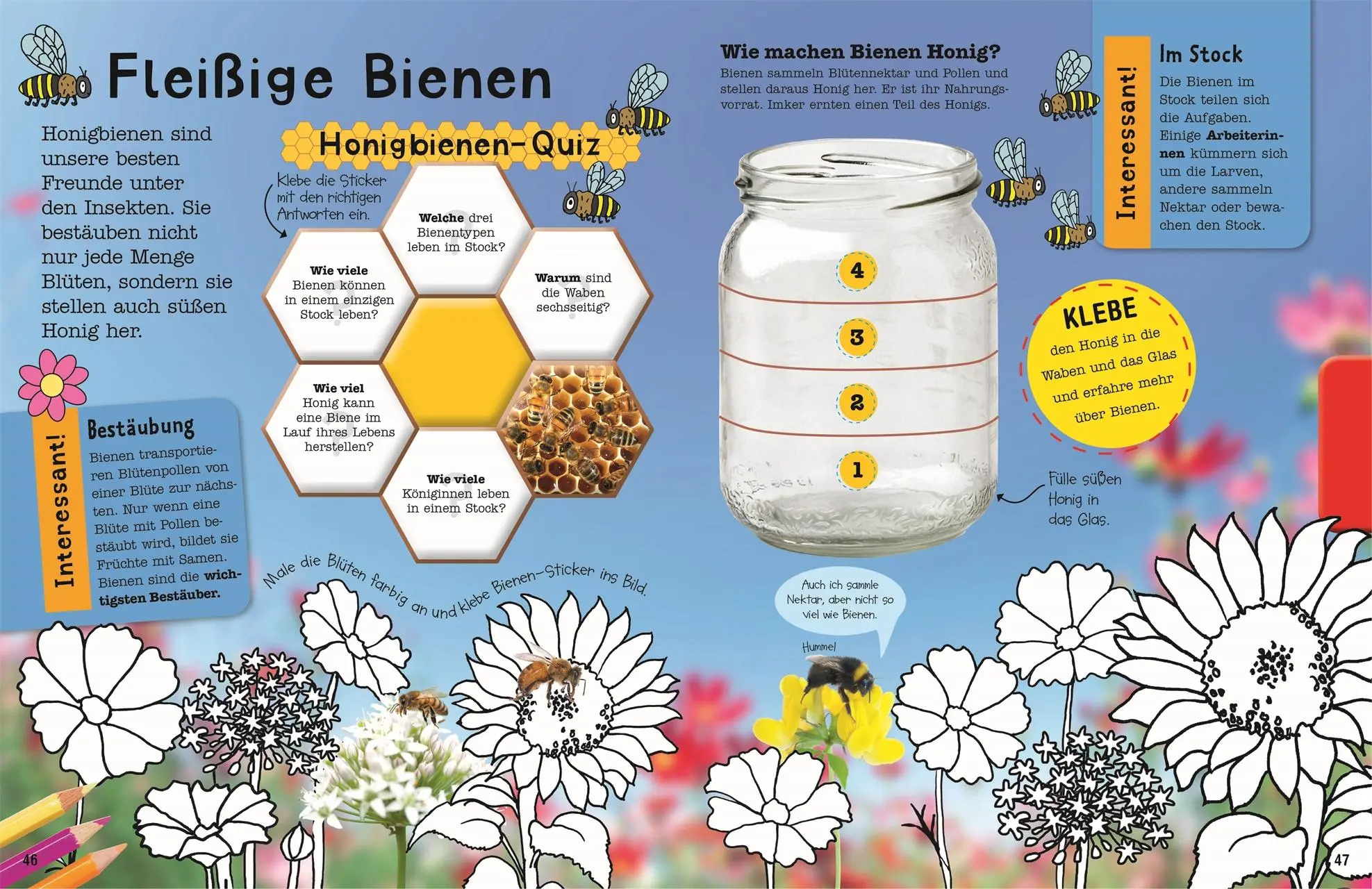 Bild: 9783831028061 | Das Mach-Malbuch Insekten | Eva Sixt | Taschenbuch | Das Mach-Malbuch