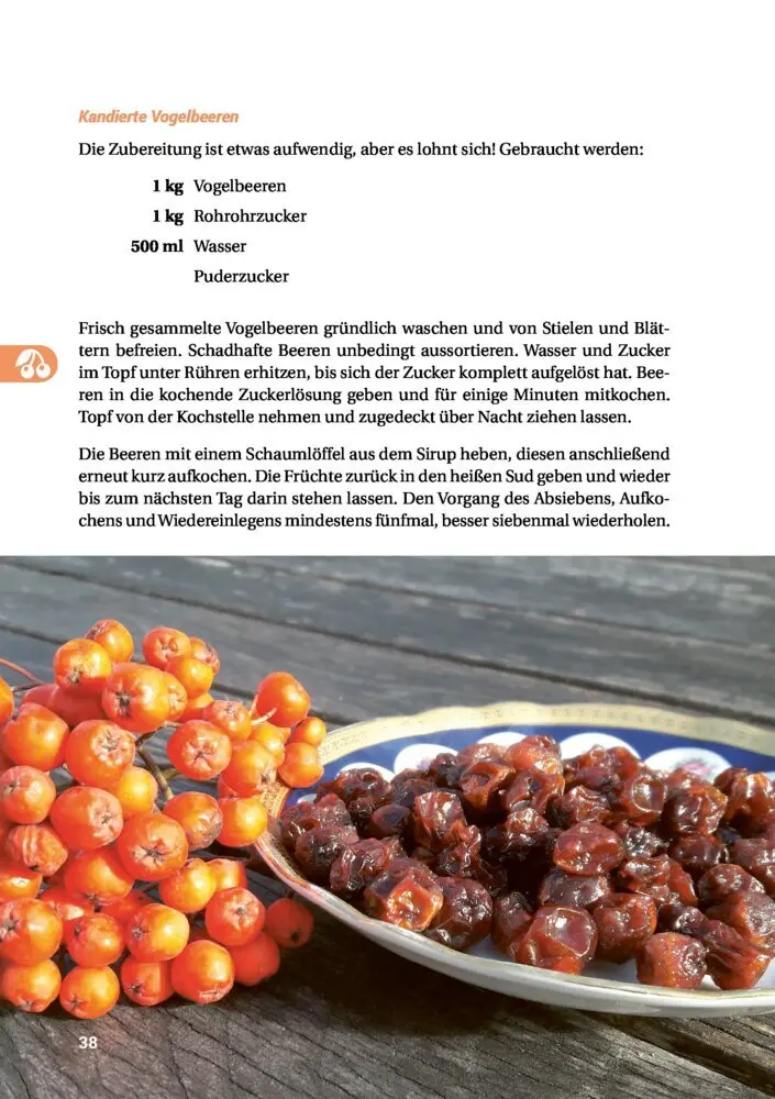 Bild: 9783946658061 | Geh raus! Deine Stadt ist essbar | Taschenbuch | 192 S. | Deutsch