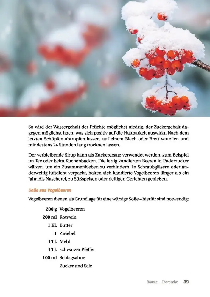 Bild: 9783946658061 | Geh raus! Deine Stadt ist essbar | Taschenbuch | 192 S. | Deutsch