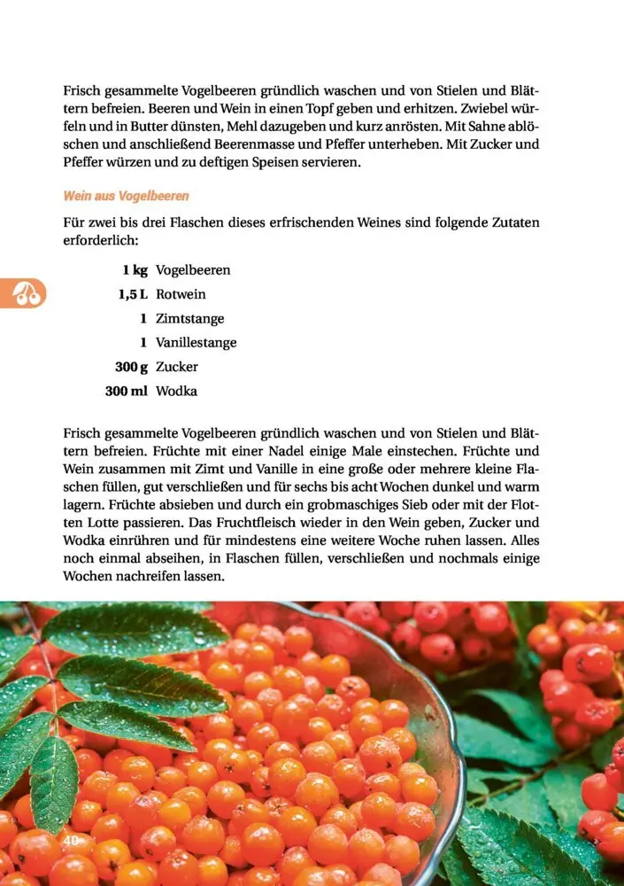 Bild: 9783946658061 | Geh raus! Deine Stadt ist essbar | Taschenbuch | 192 S. | Deutsch