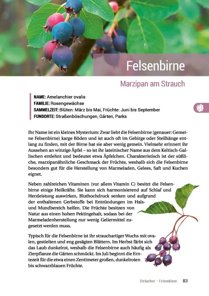 Bild: 9783946658061 | Geh raus! Deine Stadt ist essbar | Taschenbuch | 192 S. | Deutsch