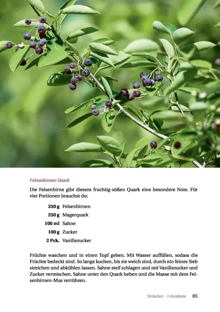 Bild: 9783946658061 | Geh raus! Deine Stadt ist essbar | Taschenbuch | 192 S. | Deutsch