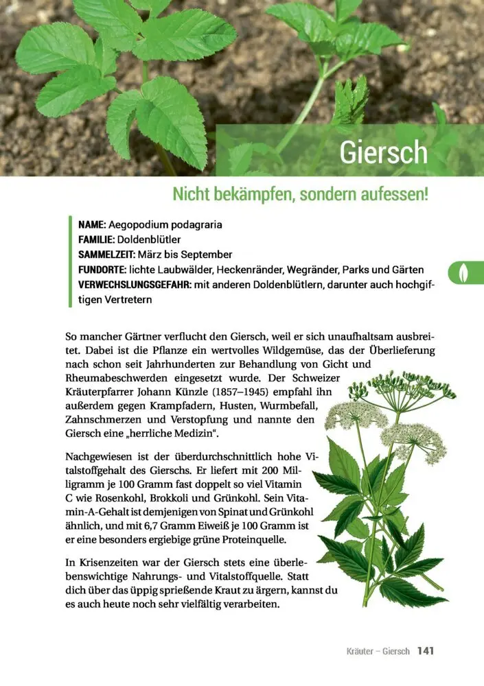 Bild: 9783946658061 | Geh raus! Deine Stadt ist essbar | Taschenbuch | 192 S. | Deutsch