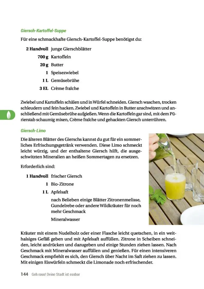 Bild: 9783946658061 | Geh raus! Deine Stadt ist essbar | Taschenbuch | 192 S. | Deutsch