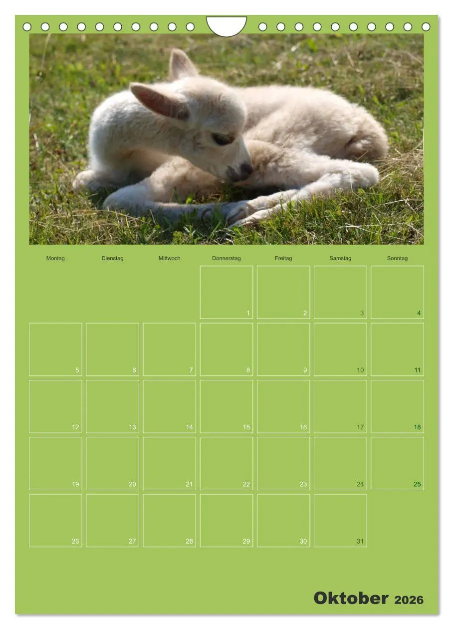 Bild: 9783516438161 | Alpakas zum Verlieben (Wandkalender 2026 DIN A4 hoch), CALVENDO...