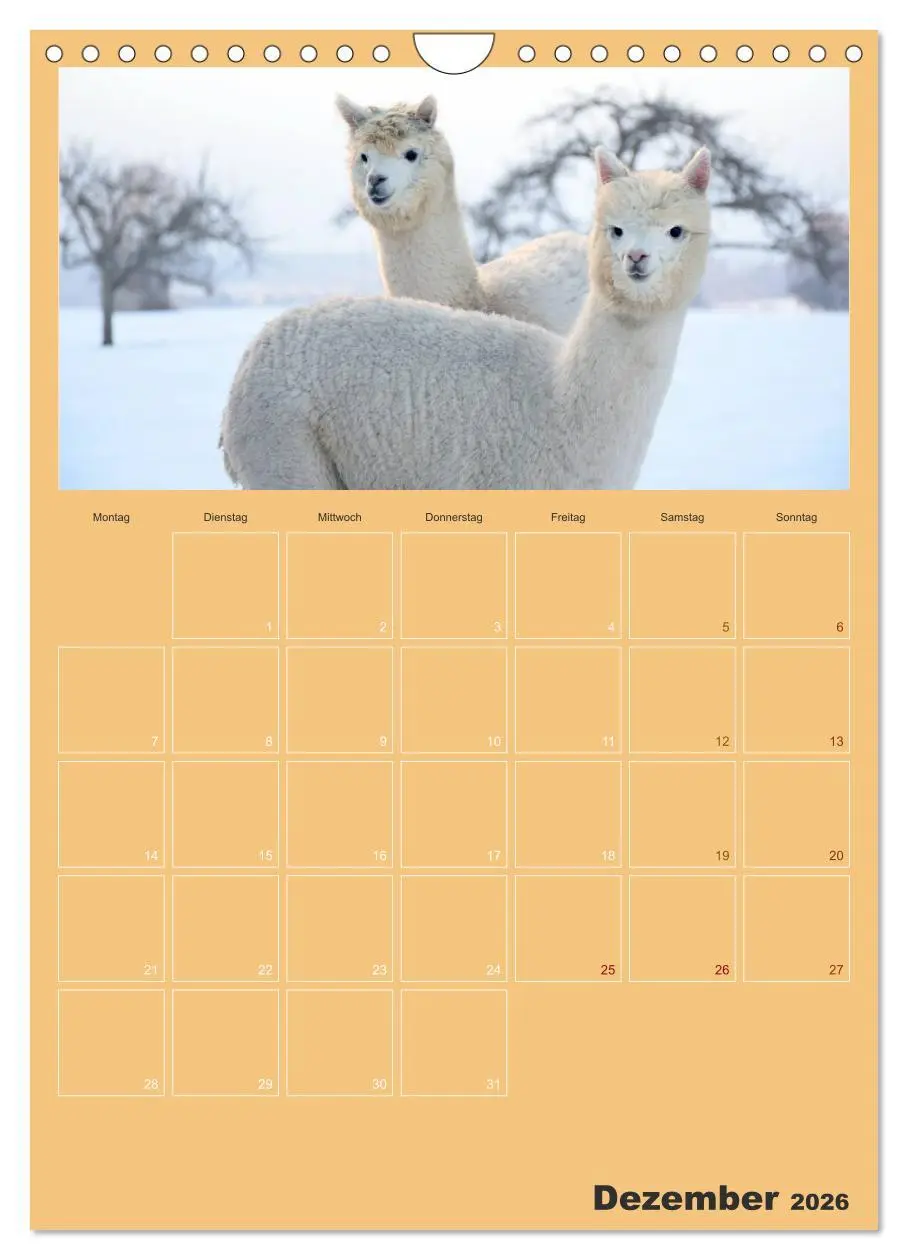 Bild: 9783516438161 | Alpakas zum Verlieben (Wandkalender 2026 DIN A4 hoch), CALVENDO...