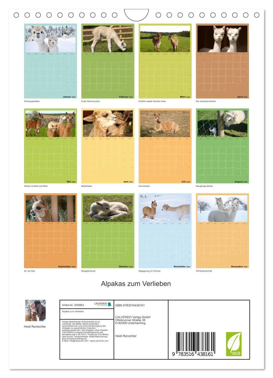 Bild: 9783516438161 | Alpakas zum Verlieben (Wandkalender 2026 DIN A4 hoch), CALVENDO...