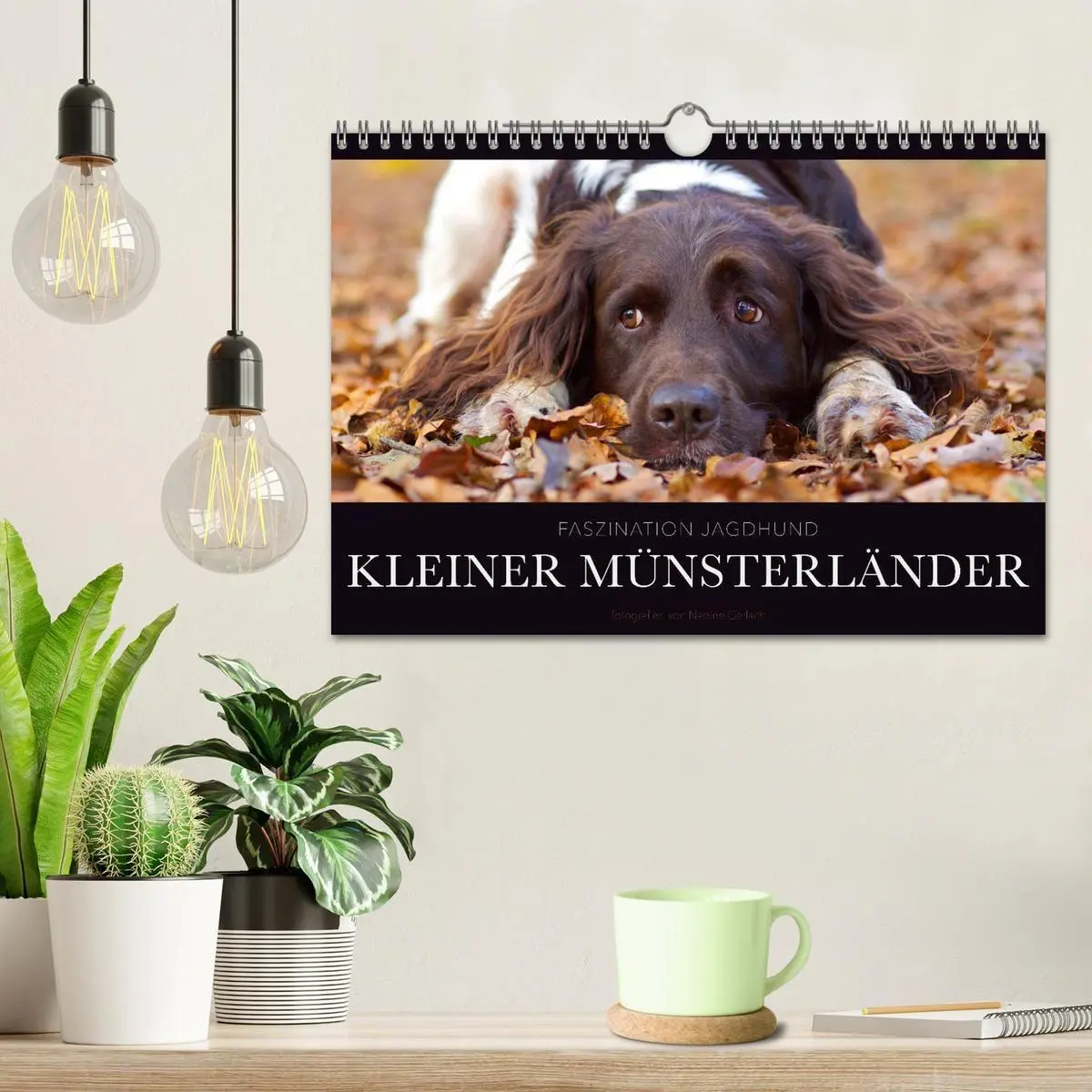Bild: 9783569838161 | Faszination Jagdhund - Kleiner Münsterländer (Wandkalender 2027 DIN...