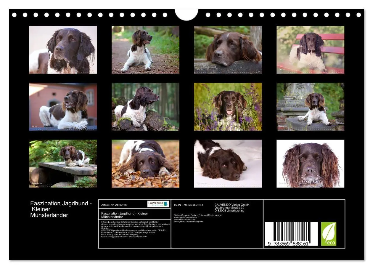 Bild: 9783569838161 | Faszination Jagdhund - Kleiner Münsterländer (Wandkalender 2027 DIN...