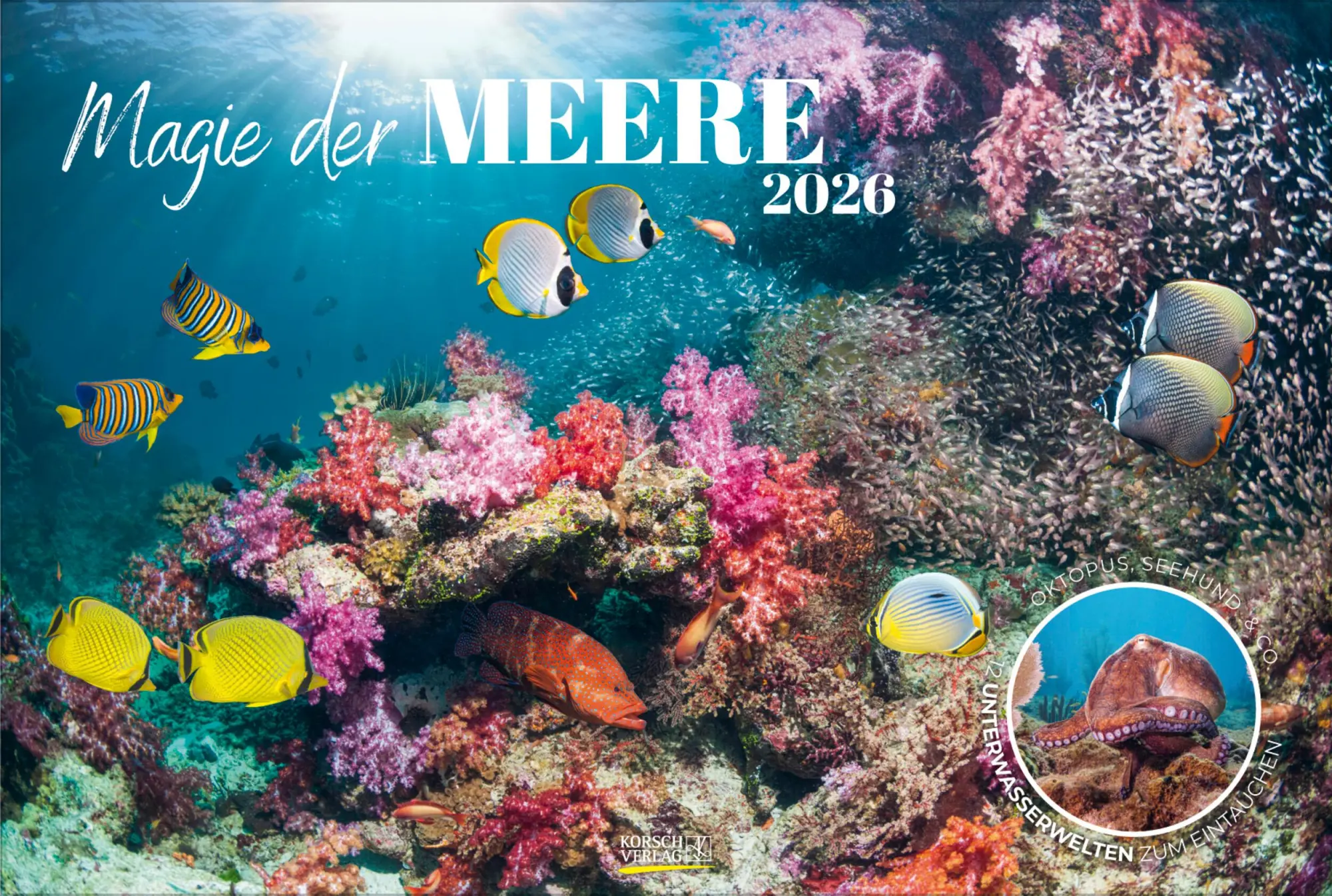 Cover: 9783731888161 | Magie der Meere 2026 | Verlag Korsch | Kalender | 14 S. | Deutsch