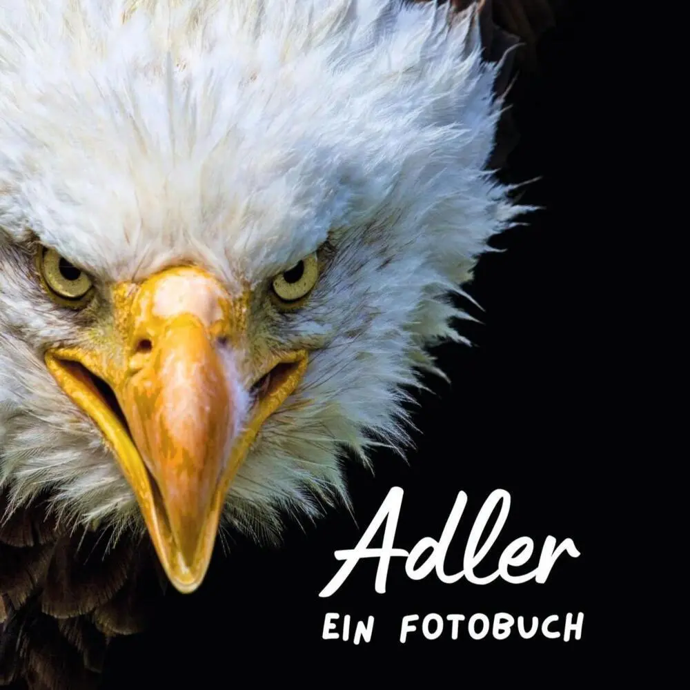 Cover: 9783750518261 | Adler | Ein Fotobuch. Das perfekte Geschenk | Bibi Hübsch | Buch