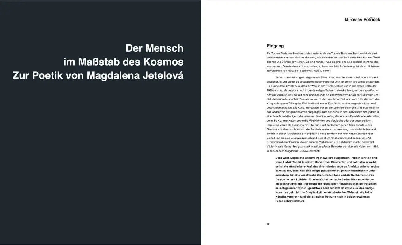 Bild: 9783775748261 | Grenzen in der Kunst | Tschechische Kunst in drei Generationen | Buch
