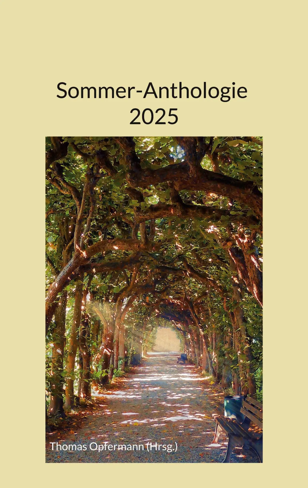 Cover: 9783819228261 | Sommer-Anthologie 2025 | Thomas Opfermann | Taschenbuch | Deutsch