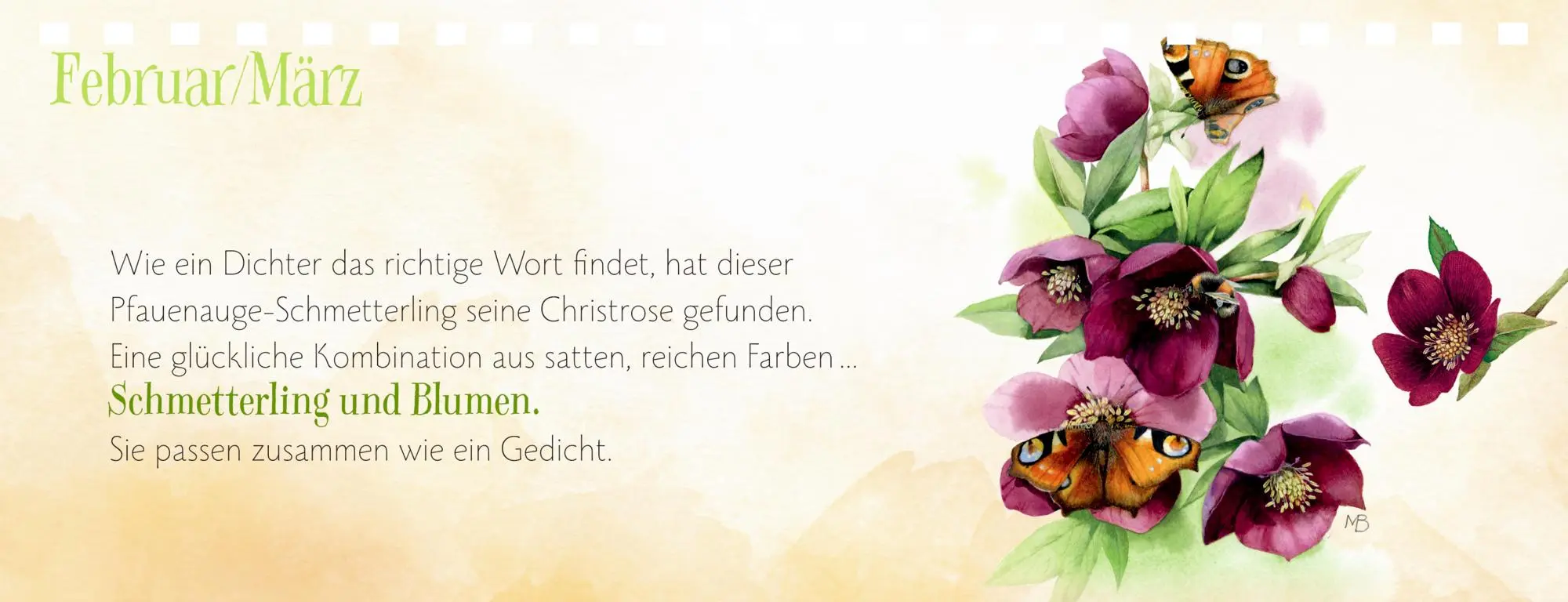Bild: 4050003958361 | Wochenkalender 2026 - violett | Marjolein Bastin | Kalender | 120 S.