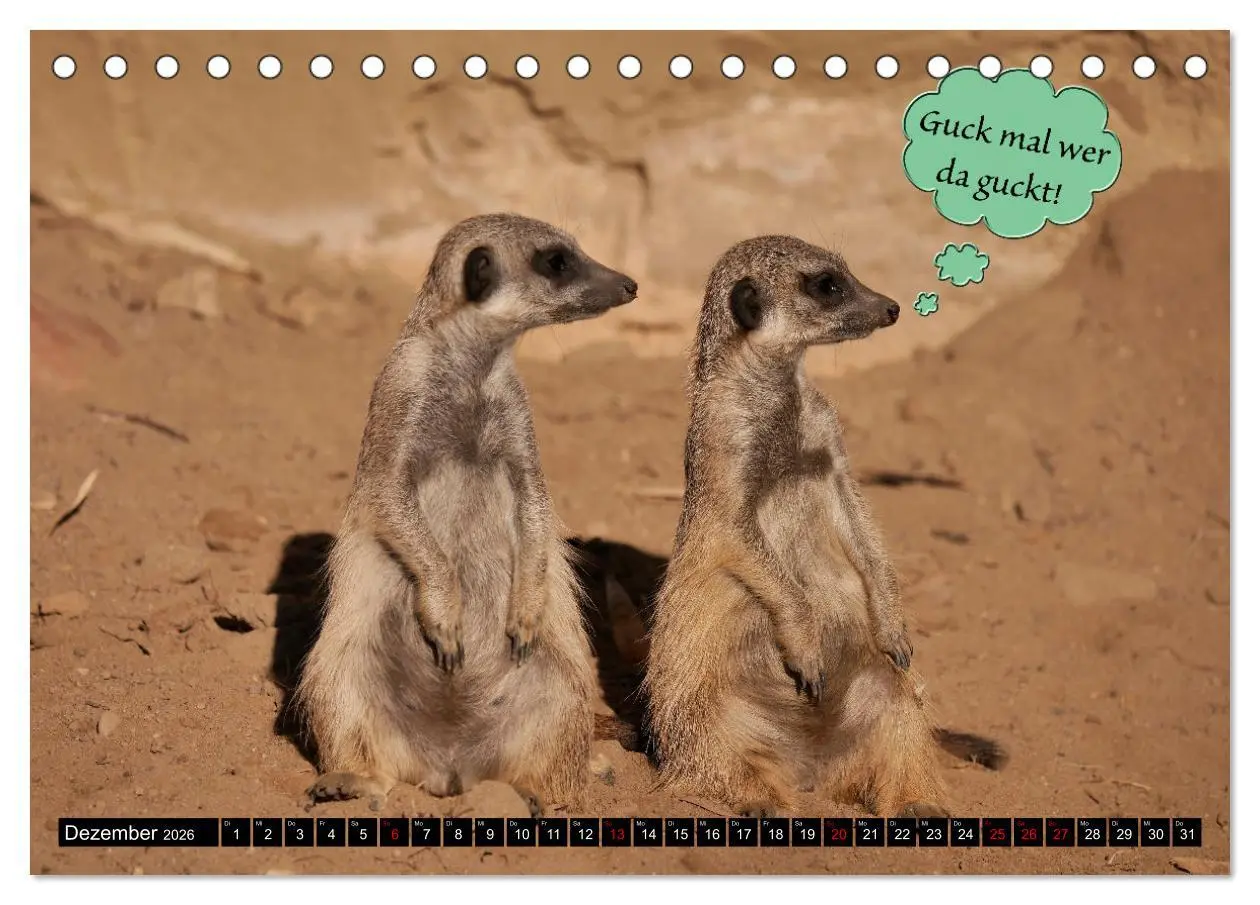 Bild: 9783457638361 | Wenn Tiere sprechen könnten! Der lustige Sprüche Kalender...