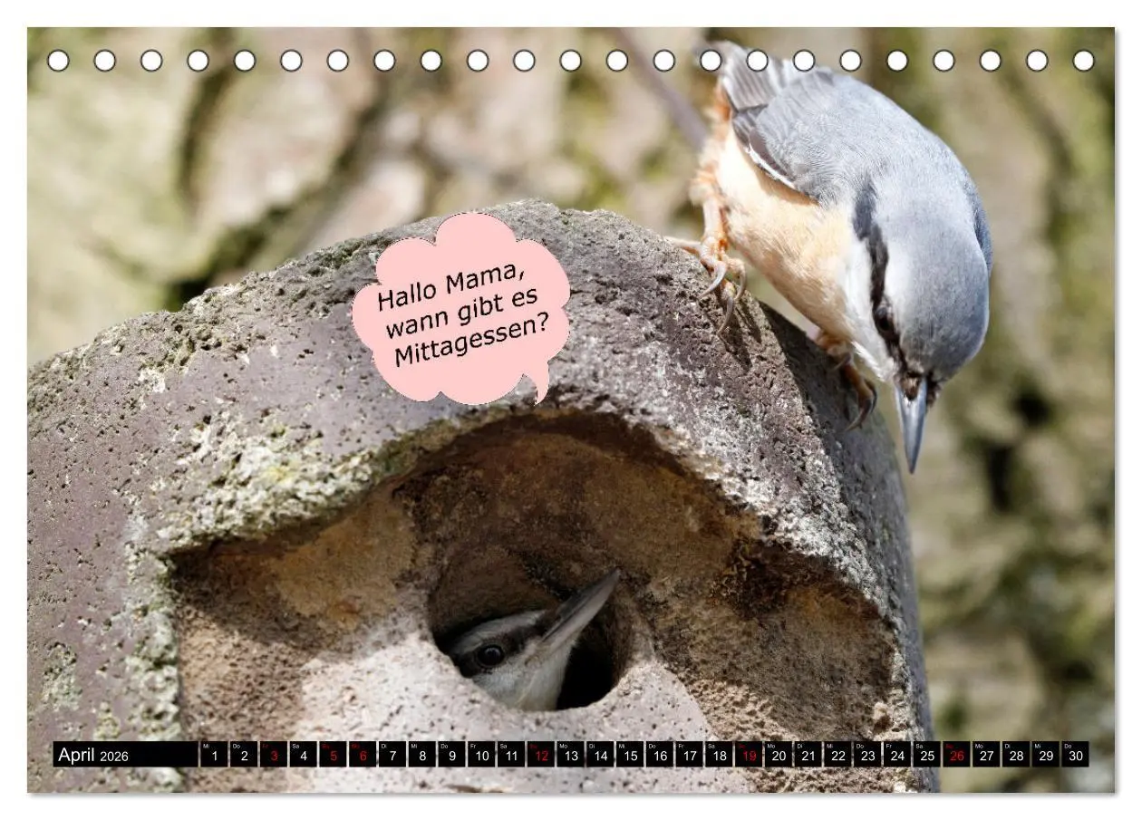 Bild: 9783457638361 | Wenn Tiere sprechen könnten! Der lustige Sprüche Kalender...