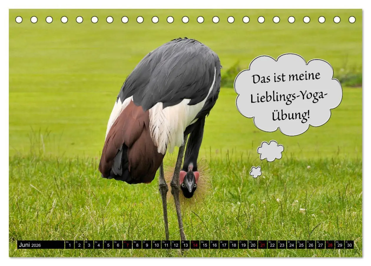 Bild: 9783457638361 | Wenn Tiere sprechen könnten! Der lustige Sprüche Kalender...