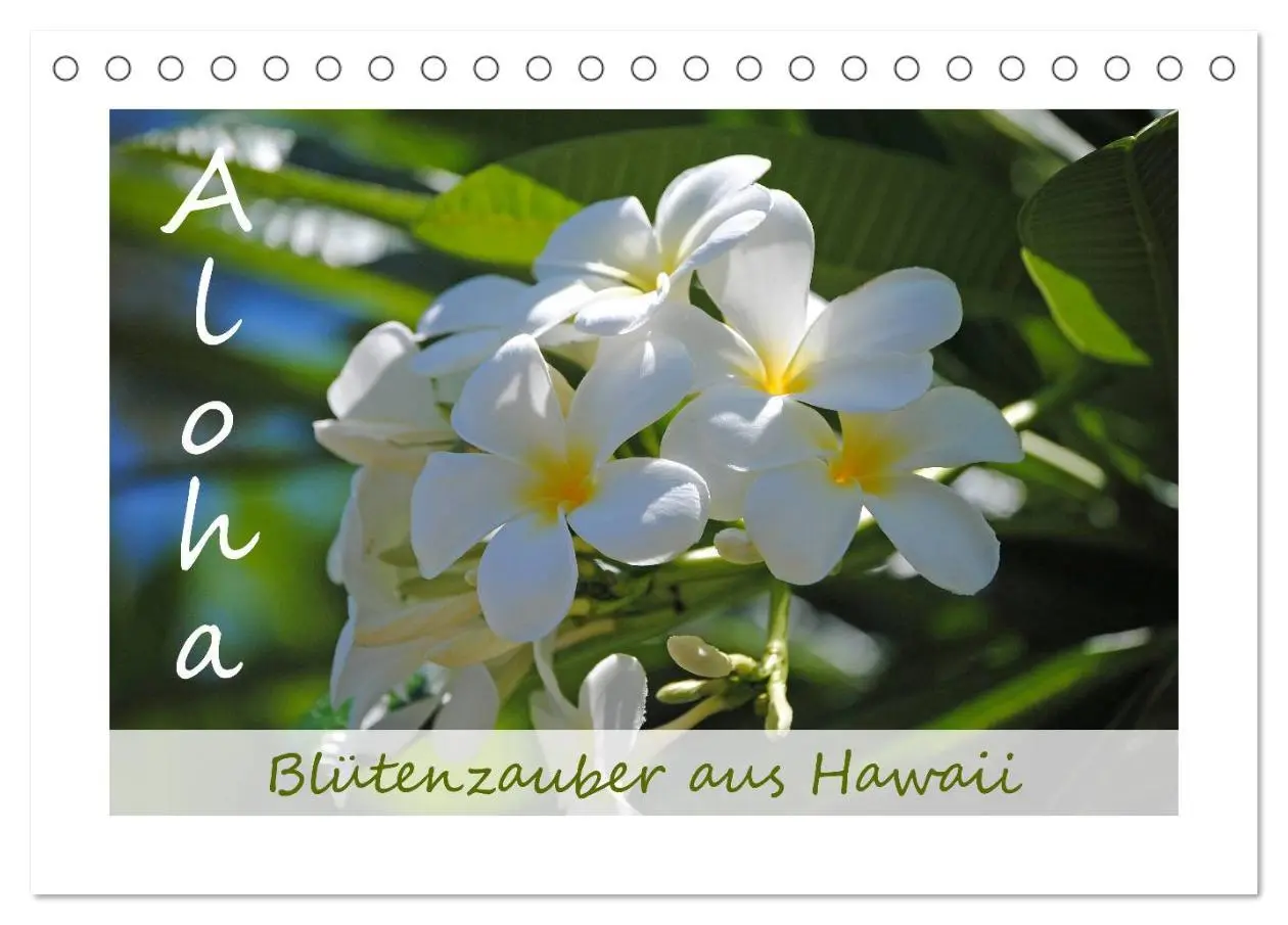 Cover: 9783516038361 | Aloha Blütenzauber aus Hawaii (Tischkalender 2026 DIN A5 quer),...
