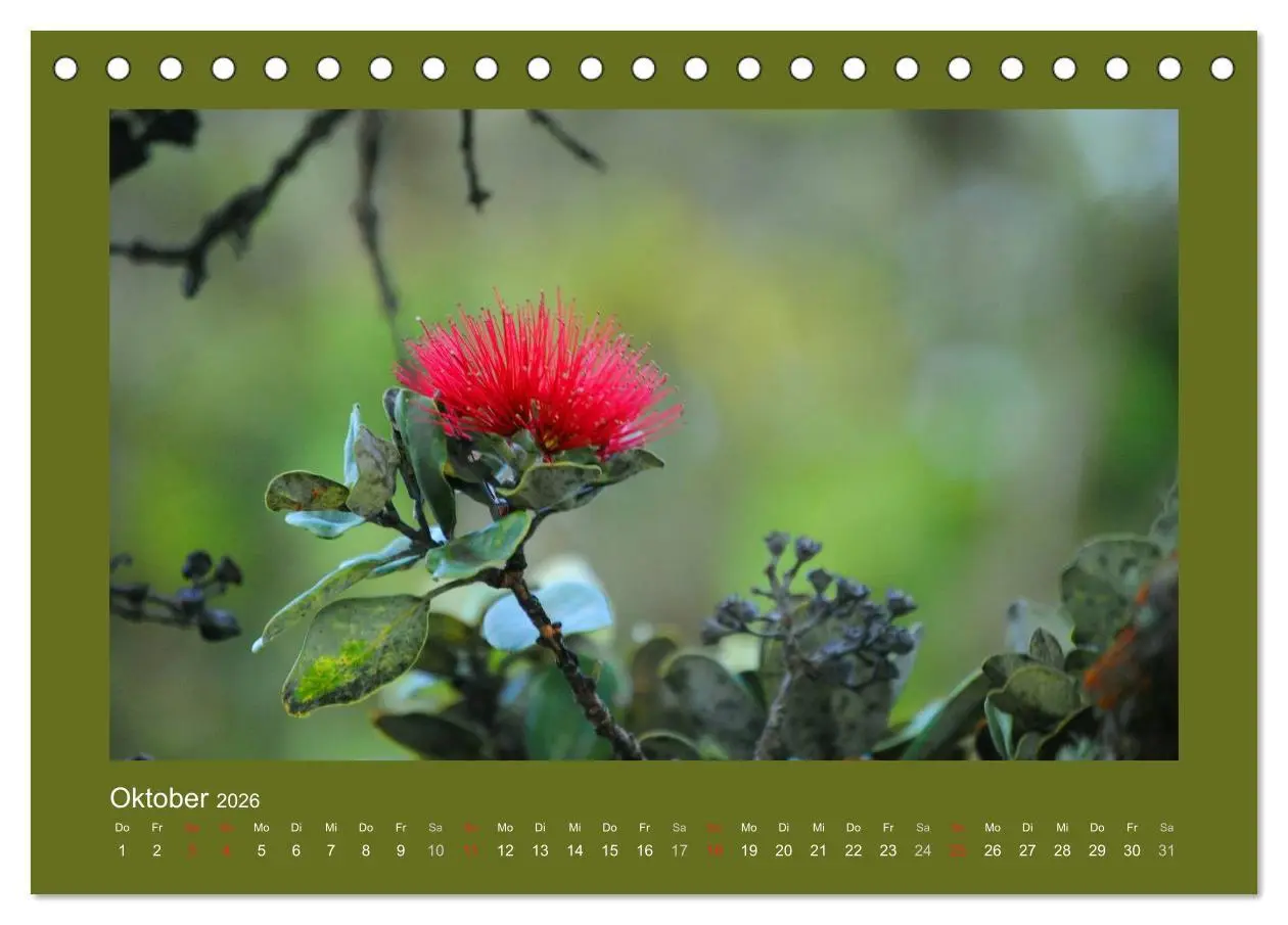 Bild: 9783516038361 | Aloha Blütenzauber aus Hawaii (Tischkalender 2026 DIN A5 quer),...