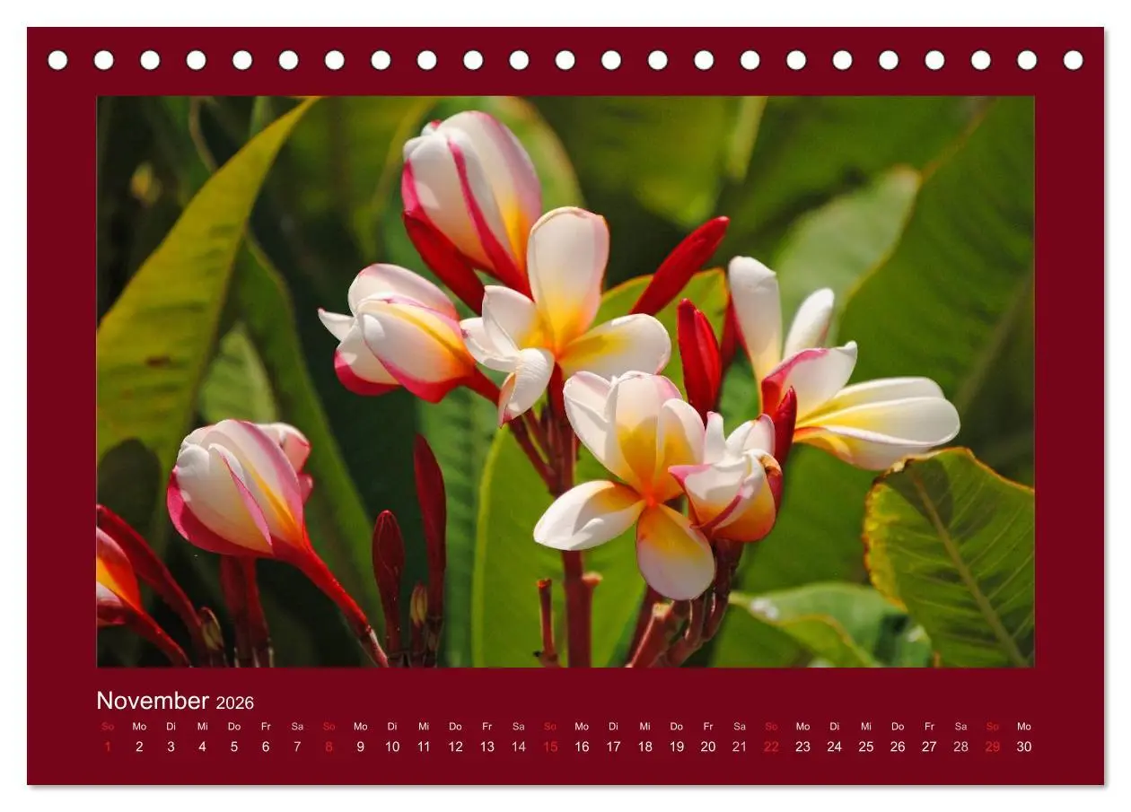 Bild: 9783516038361 | Aloha Blütenzauber aus Hawaii (Tischkalender 2026 DIN A5 quer),...